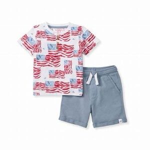 Burt's Bees Baby Red and Blue Flag Print Set
